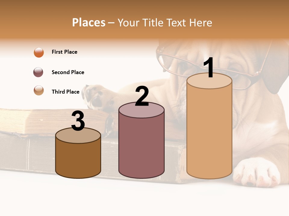 Cute Student Concentrated PowerPoint Template