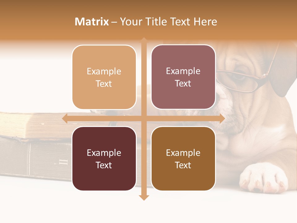 Cute Student Concentrated PowerPoint Template