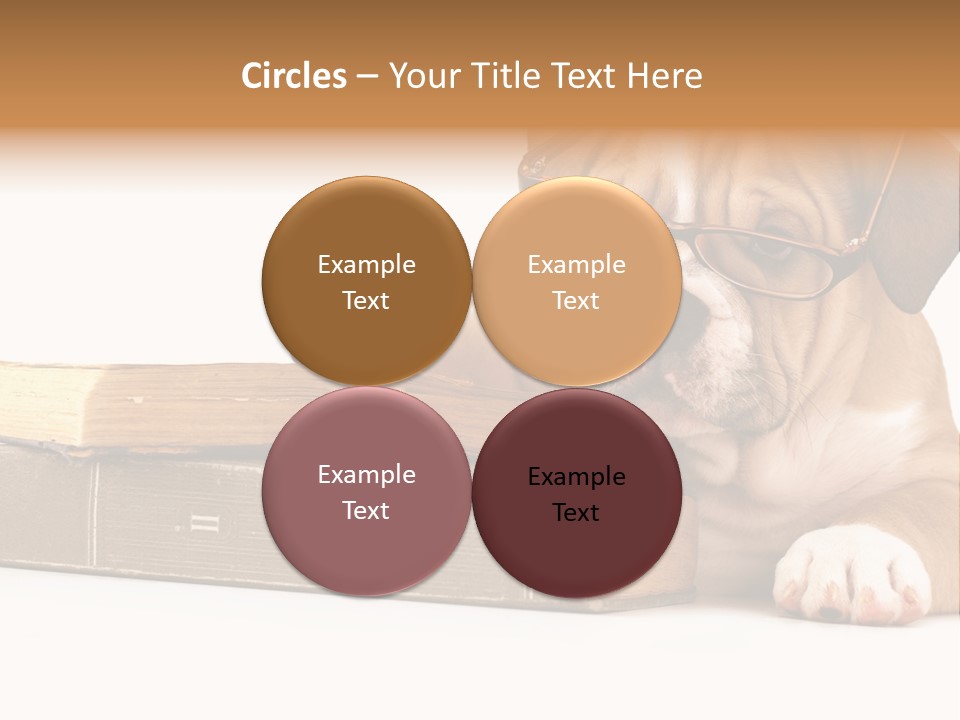 Cute Student Concentrated PowerPoint Template