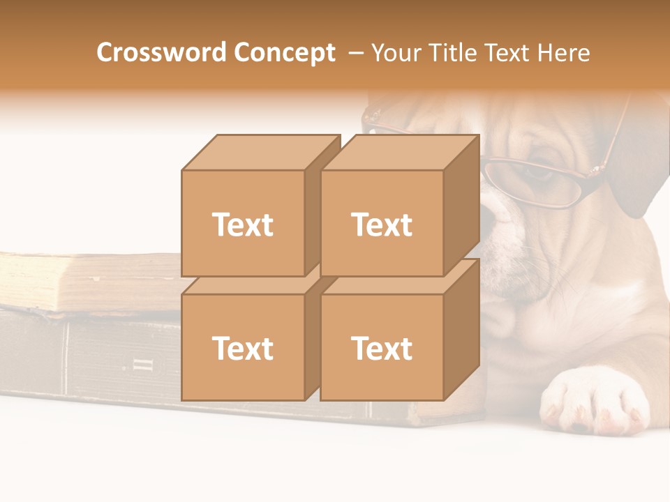 Cute Student Concentrated PowerPoint Template