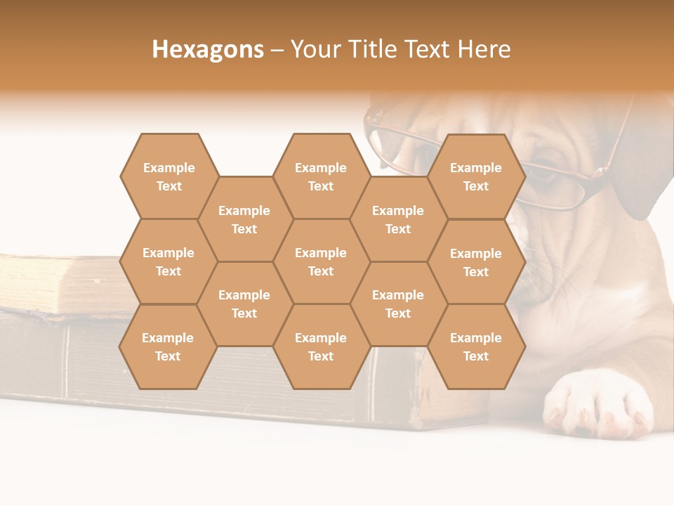 Cute Student Concentrated PowerPoint Template