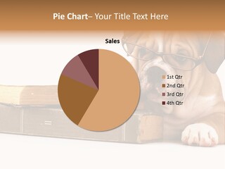 Cute Student Concentrated PowerPoint Template