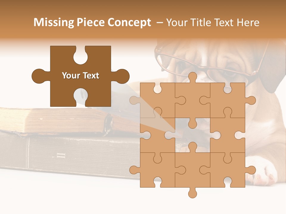 Cute Student Concentrated PowerPoint Template