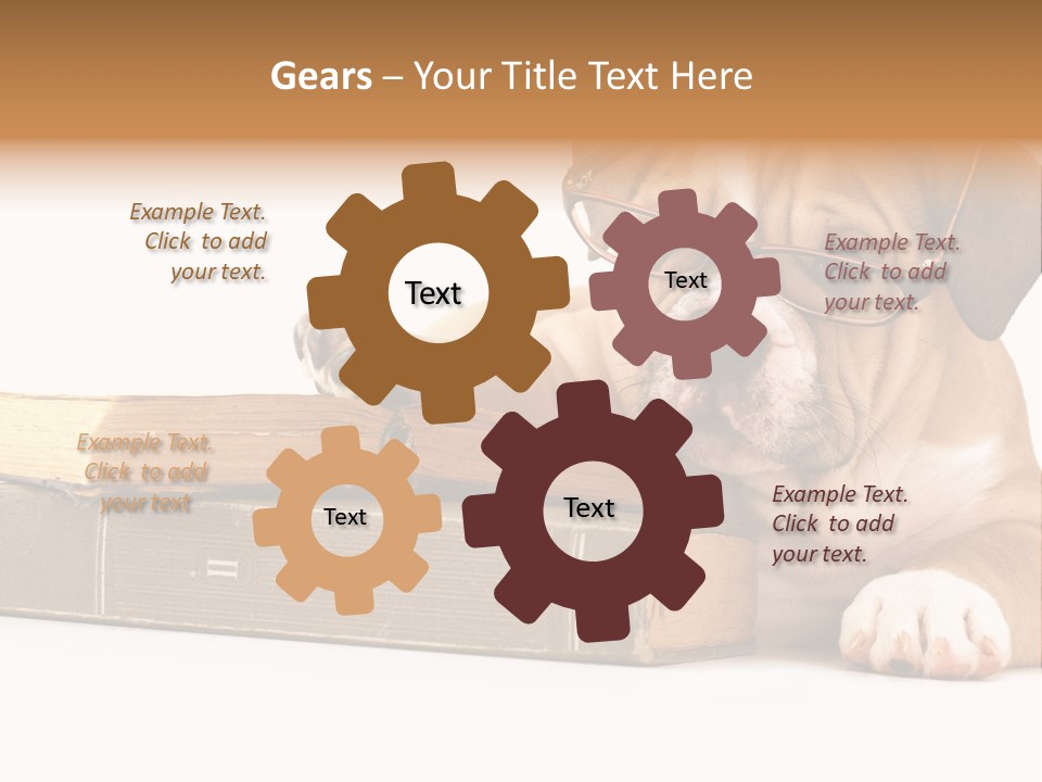 Cute Student Concentrated PowerPoint Template