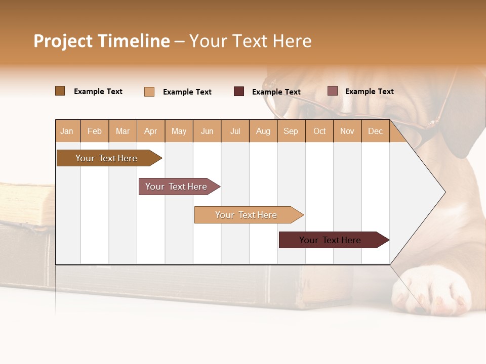 Cute Student Concentrated PowerPoint Template