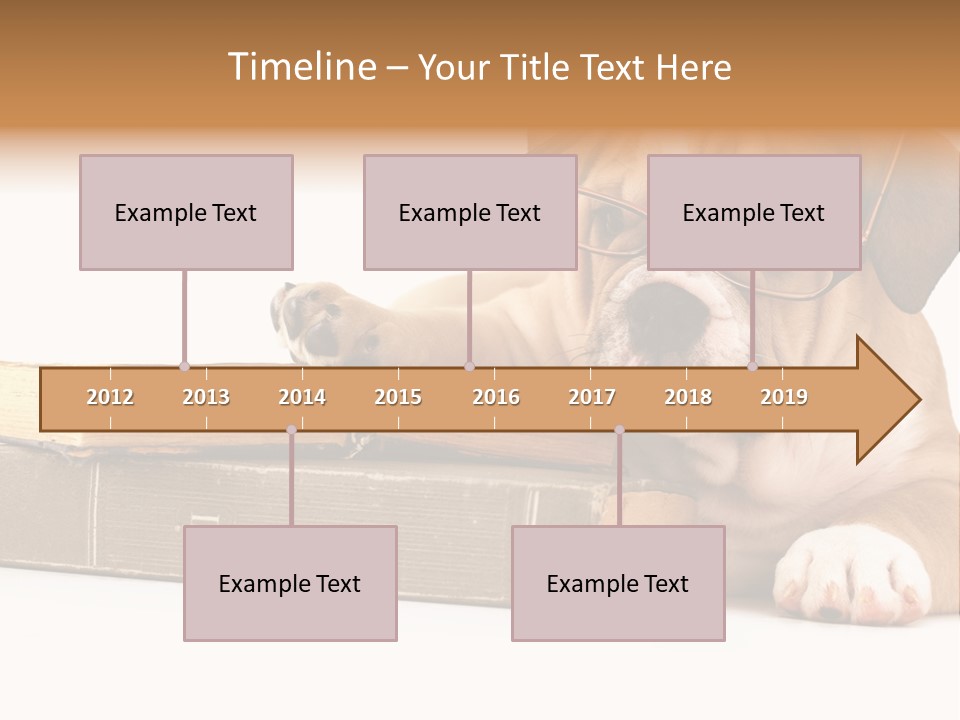 Cute Student Concentrated PowerPoint Template