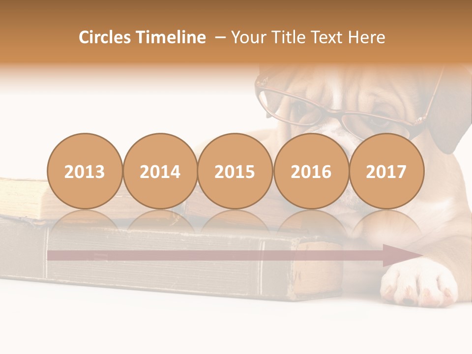 Cute Student Concentrated PowerPoint Template