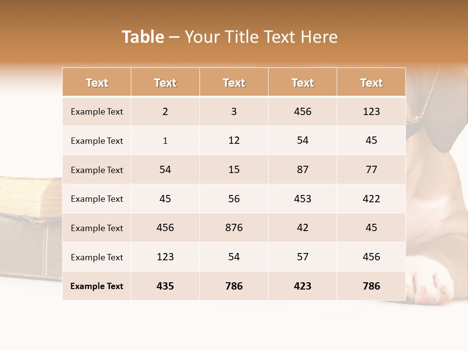 Cute Student Concentrated PowerPoint Template