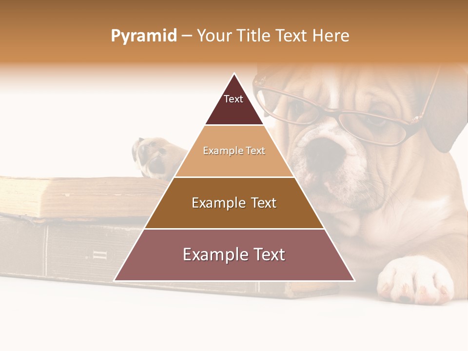 Cute Student Concentrated PowerPoint Template