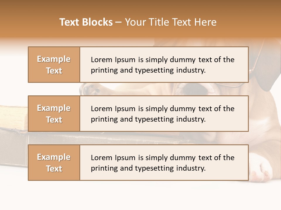 Cute Student Concentrated PowerPoint Template