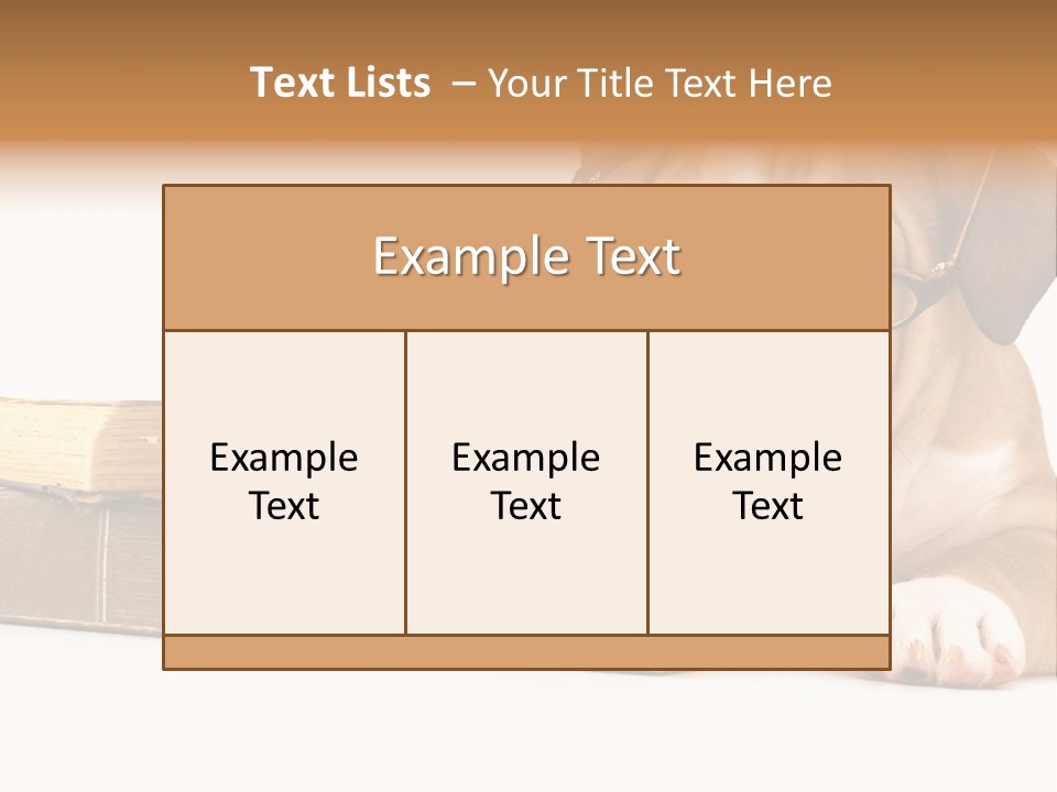 Cute Student Concentrated PowerPoint Template