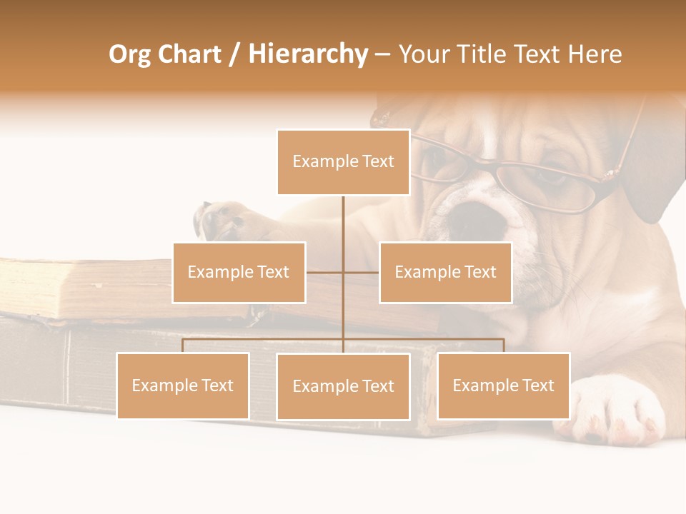 Cute Student Concentrated PowerPoint Template