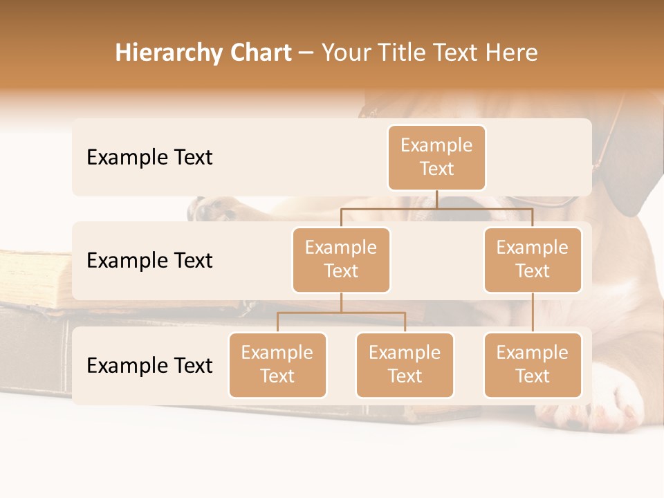 Cute Student Concentrated PowerPoint Template