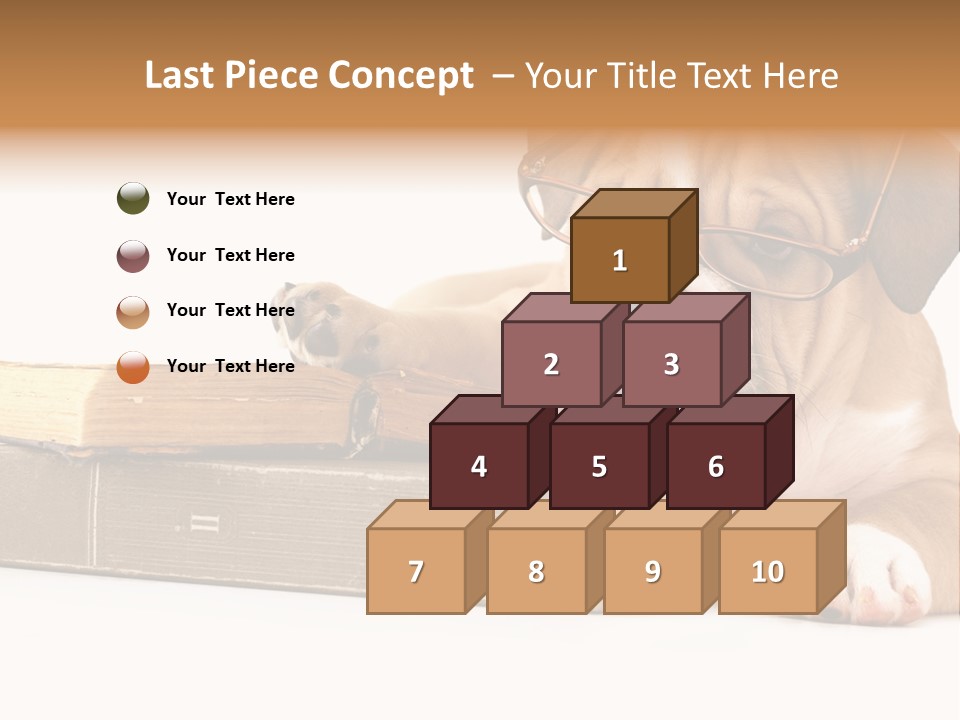 Cute Student Concentrated PowerPoint Template