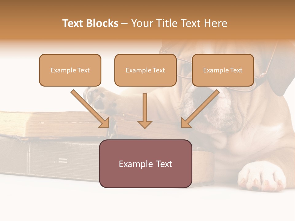 Cute Student Concentrated PowerPoint Template