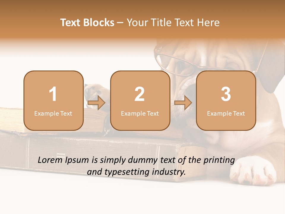 Cute Student Concentrated PowerPoint Template