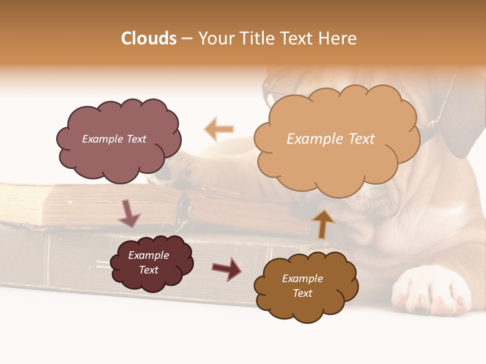 Cute Student Concentrated PowerPoint Template