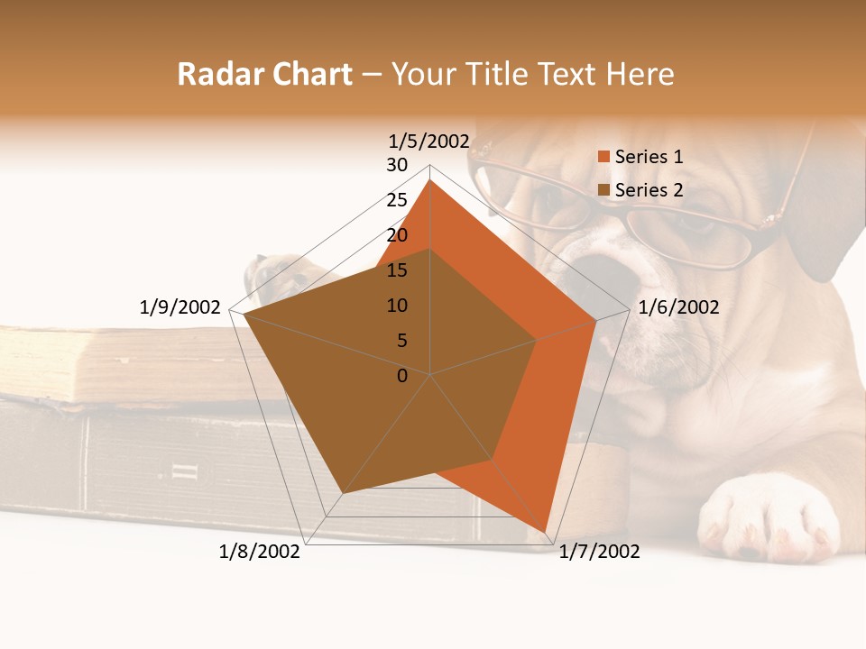Cute Student Concentrated PowerPoint Template