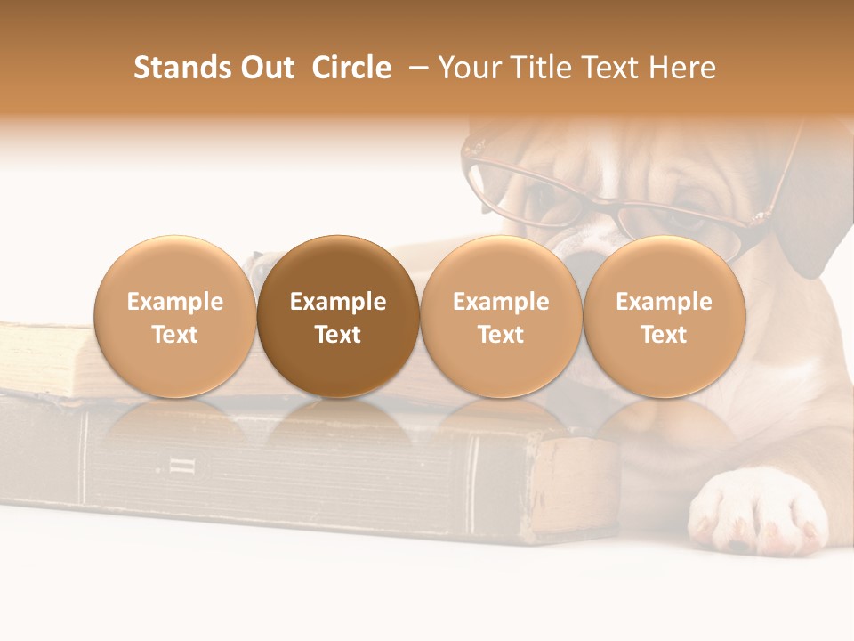 Cute Student Concentrated PowerPoint Template