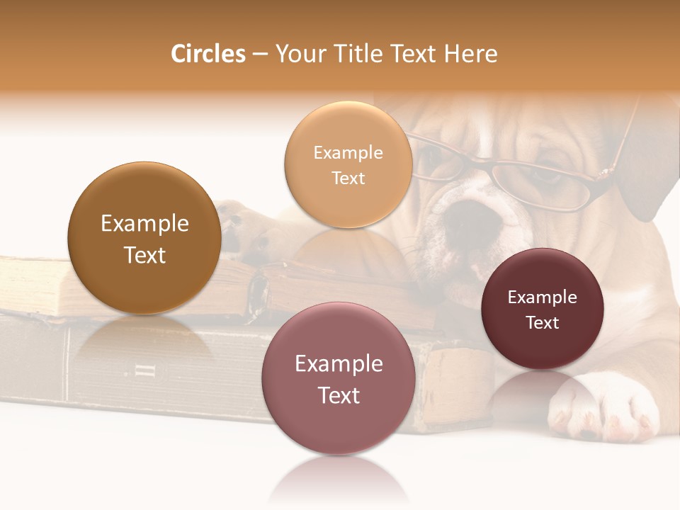 Cute Student Concentrated PowerPoint Template