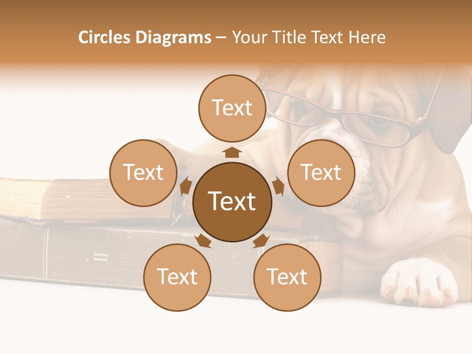 Cute Student Concentrated PowerPoint Template