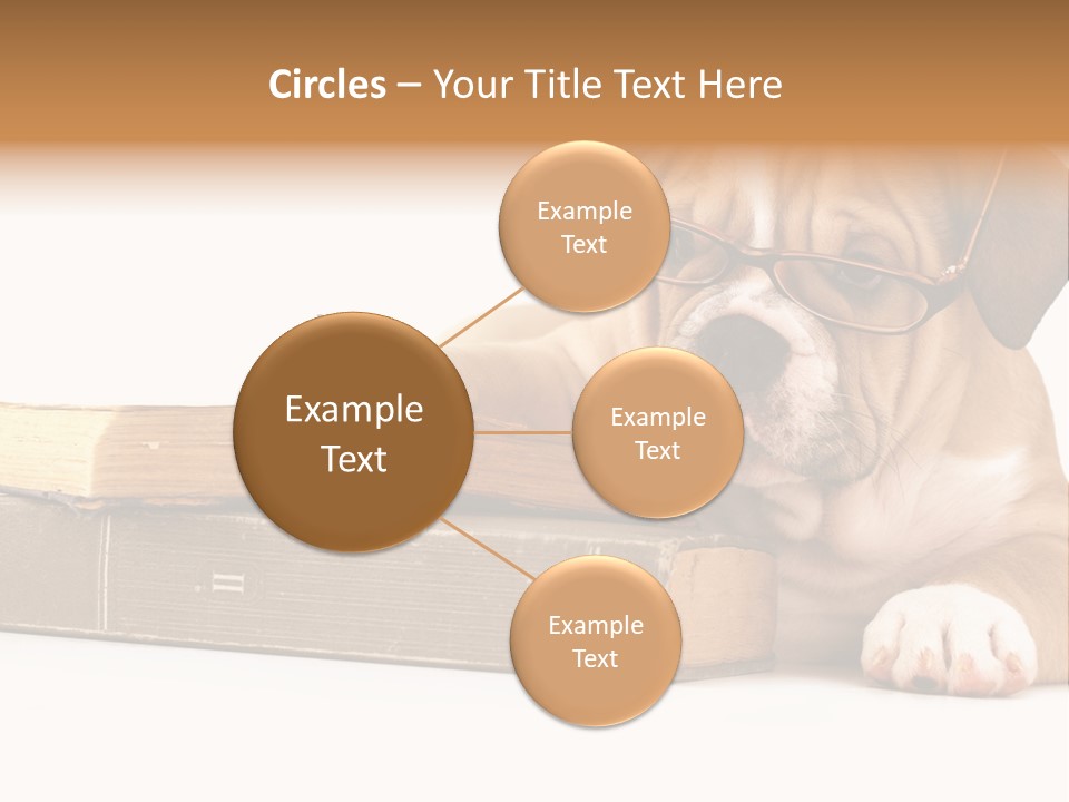 Cute Student Concentrated PowerPoint Template