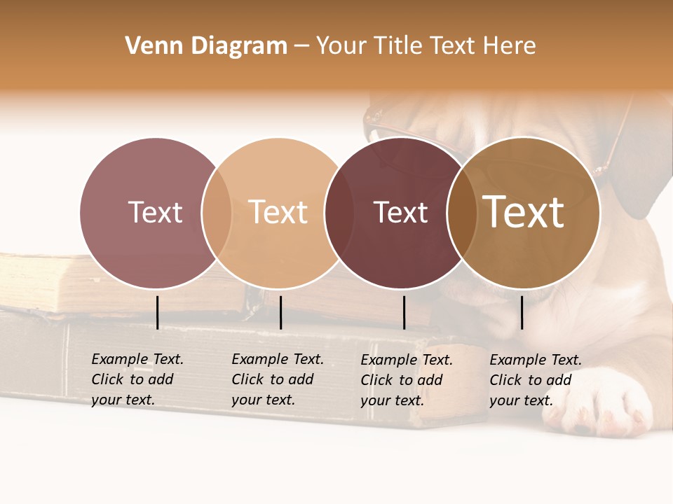 Cute Student Concentrated PowerPoint Template