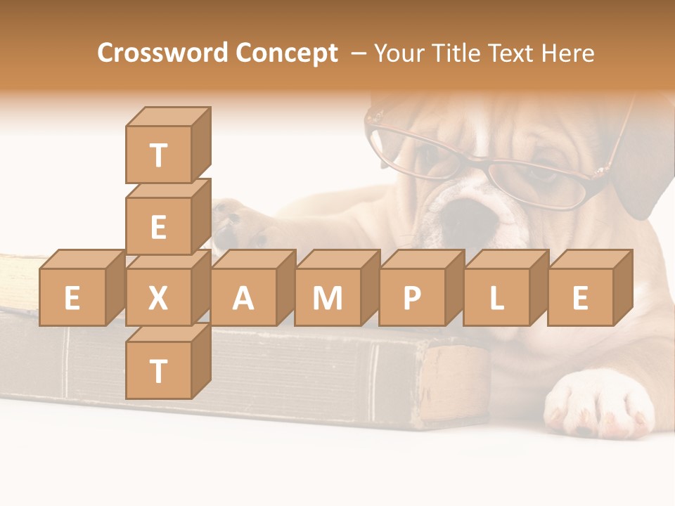 Cute Student Concentrated PowerPoint Template