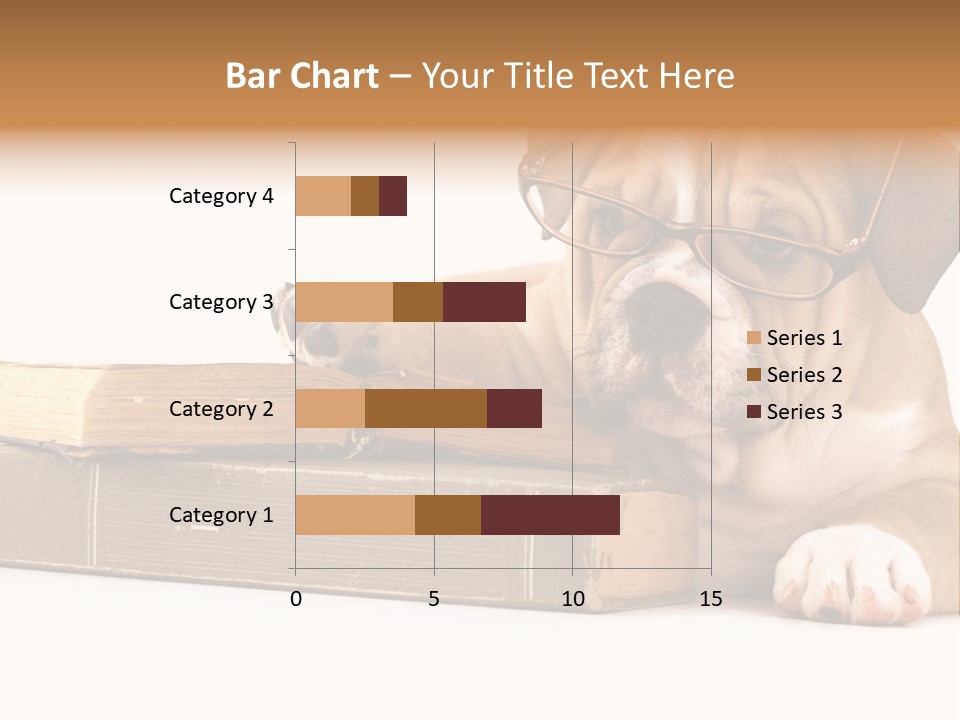 Cute Student Concentrated PowerPoint Template