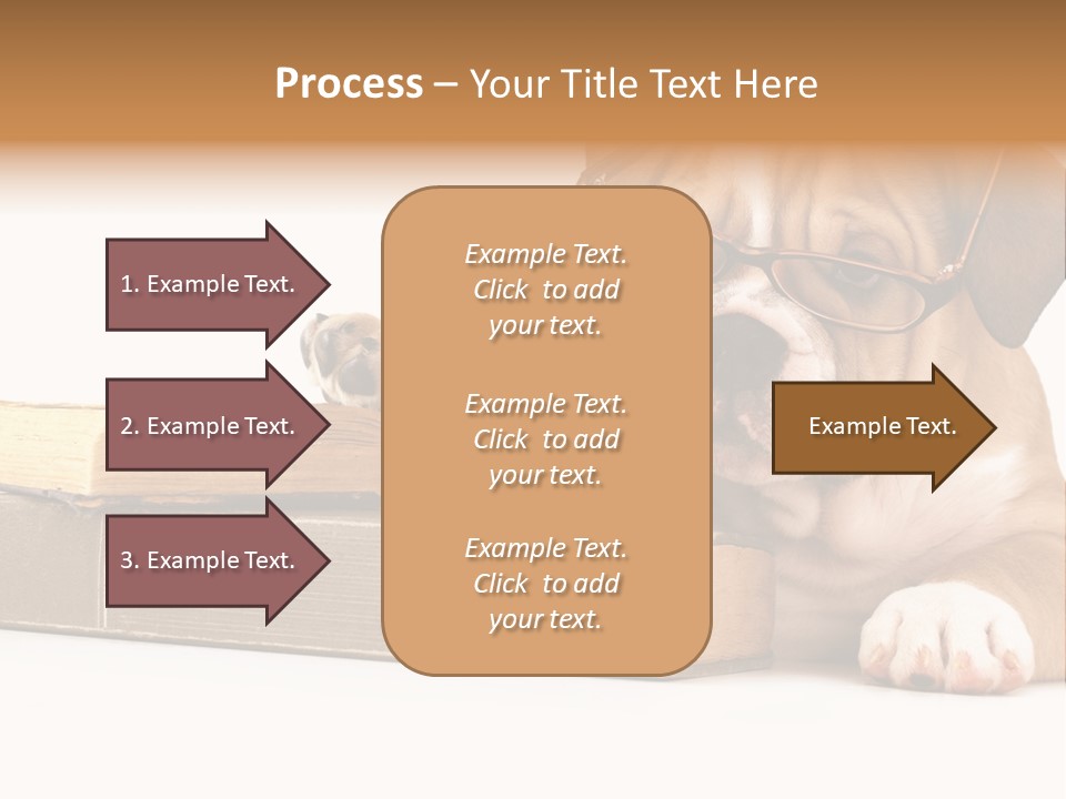 Cute Student Concentrated PowerPoint Template