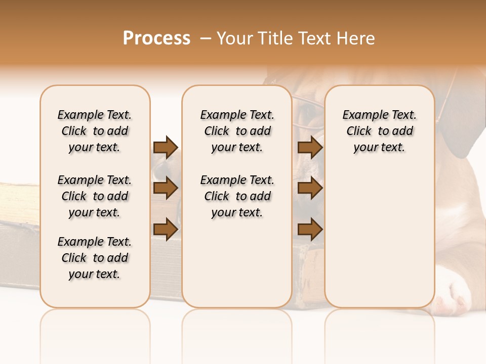 Cute Student Concentrated PowerPoint Template