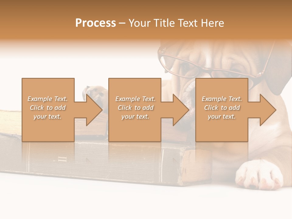 Cute Student Concentrated PowerPoint Template