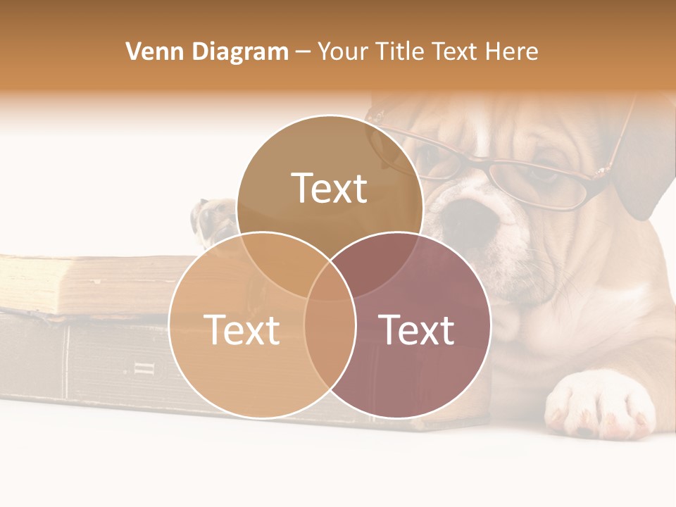 Cute Student Concentrated PowerPoint Template