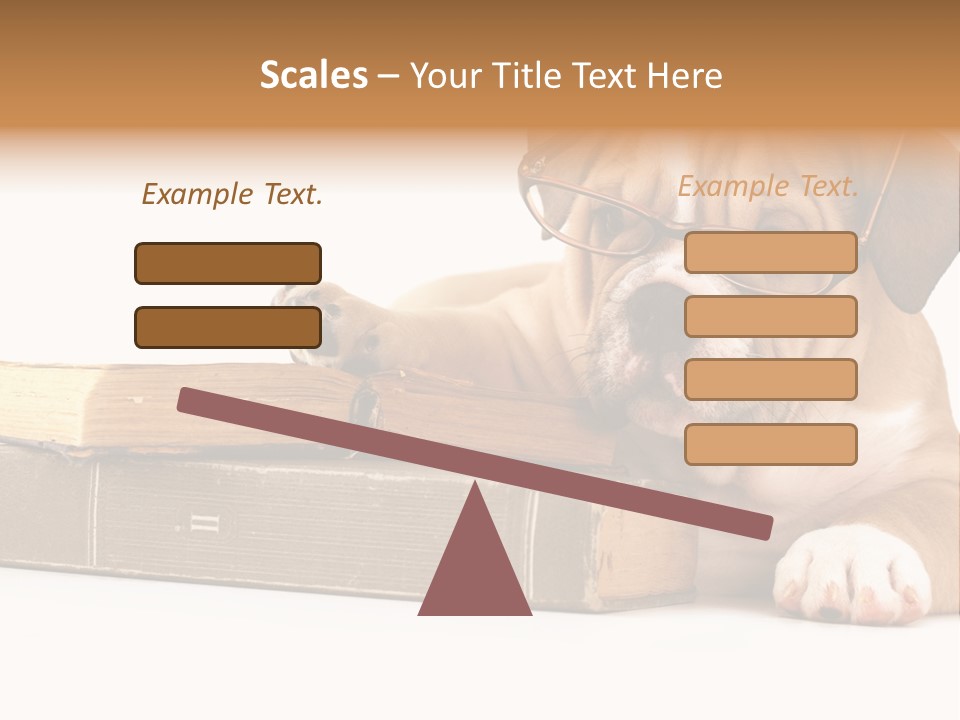 Cute Student Concentrated PowerPoint Template