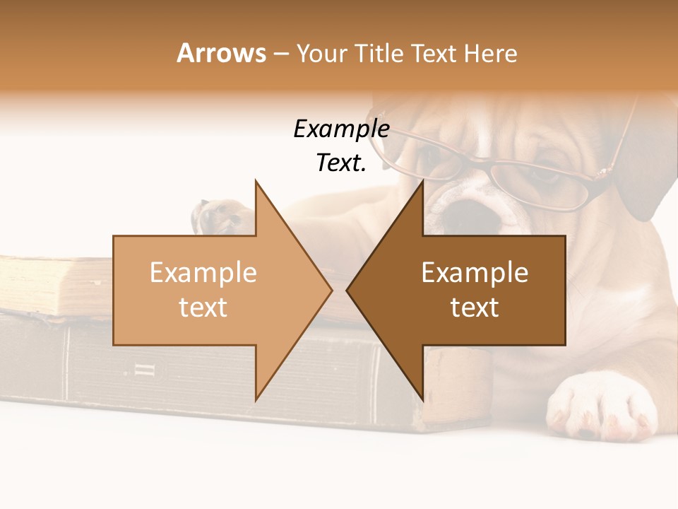 Cute Student Concentrated PowerPoint Template