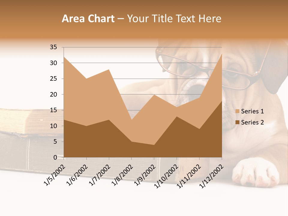 Cute Student Concentrated PowerPoint Template