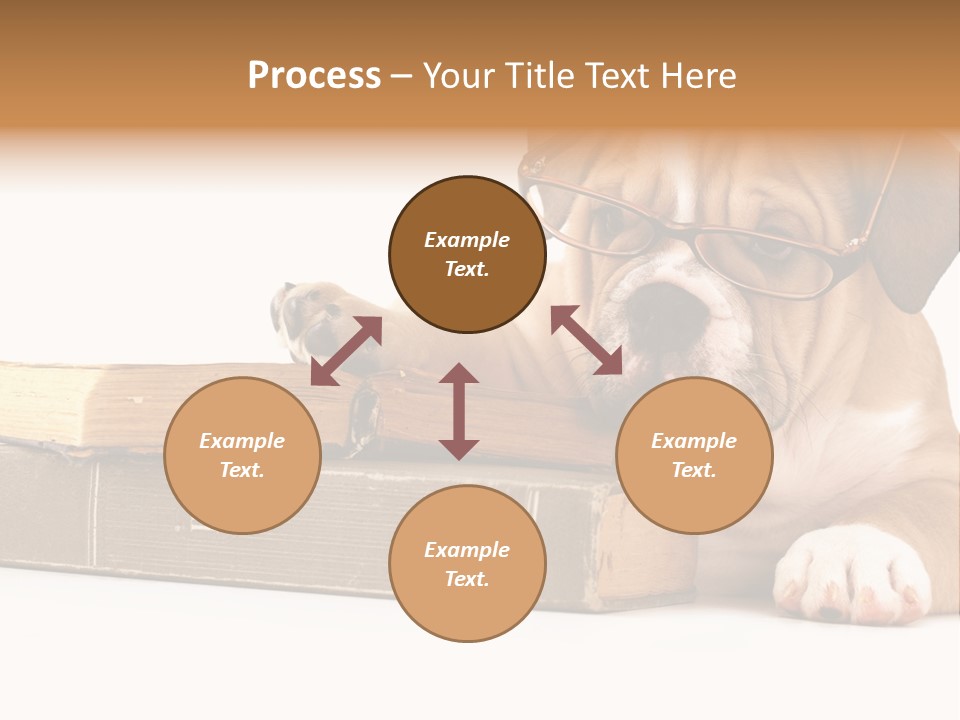 Cute Student Concentrated PowerPoint Template