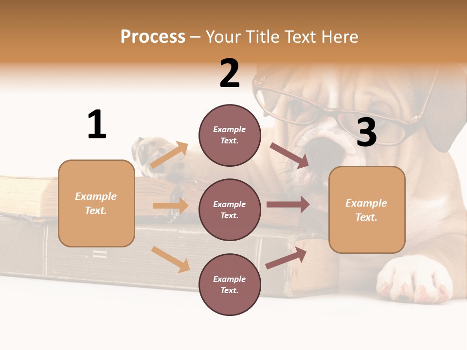 Cute Student Concentrated PowerPoint Template