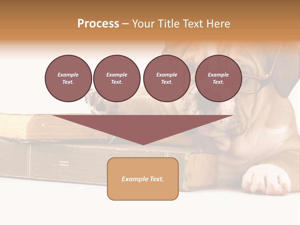 Cute Student Concentrated PowerPoint Template