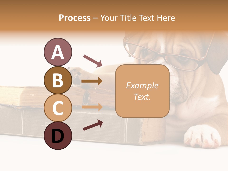 Cute Student Concentrated PowerPoint Template