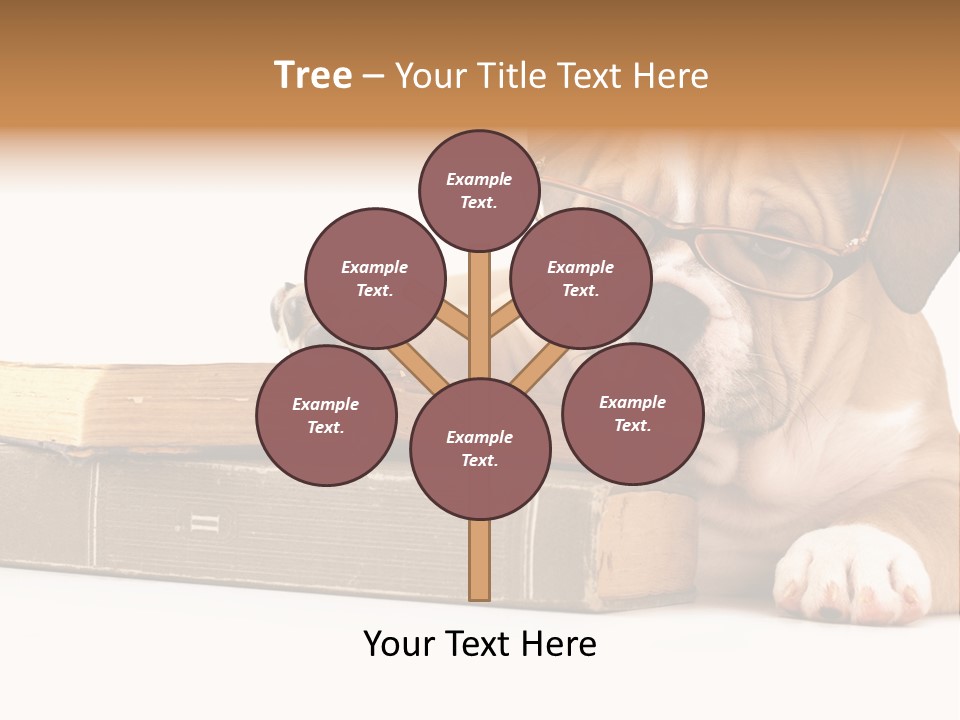 Cute Student Concentrated PowerPoint Template