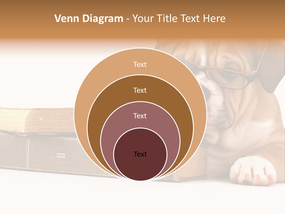 Cute Student Concentrated PowerPoint Template