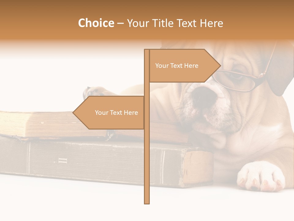 Cute Student Concentrated PowerPoint Template