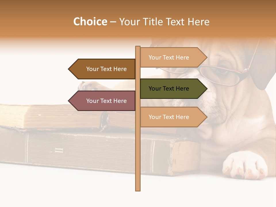 Cute Student Concentrated PowerPoint Template