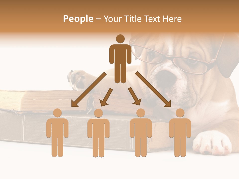 Cute Student Concentrated PowerPoint Template