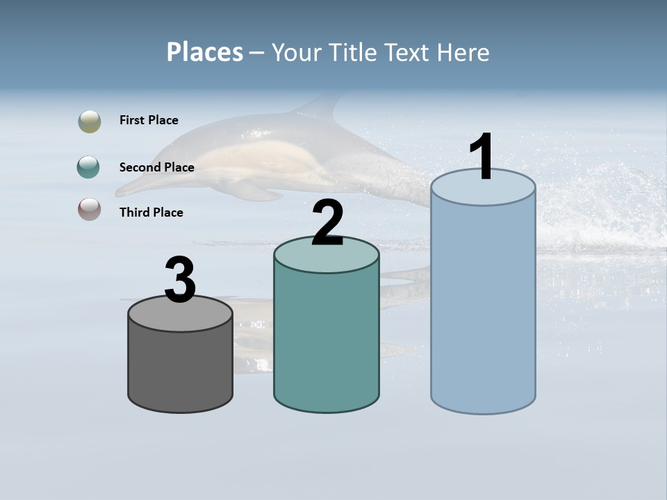 Bay Tourism Swimming PowerPoint Template