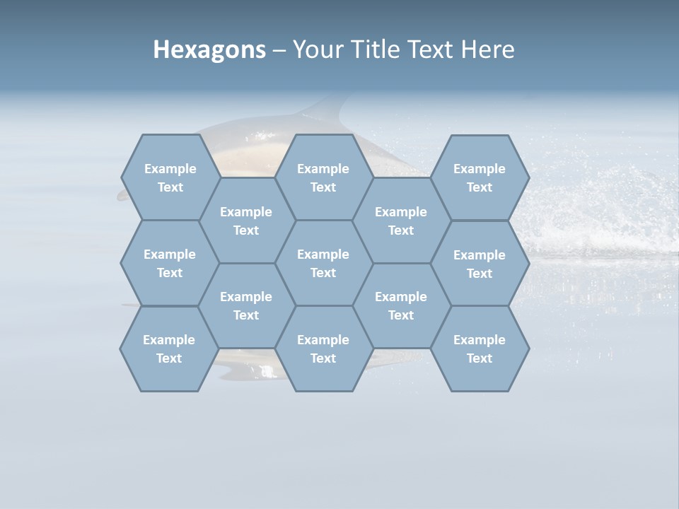 Bay Tourism Swimming PowerPoint Template