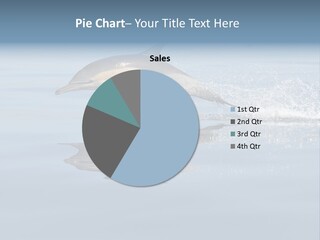Bay Tourism Swimming PowerPoint Template