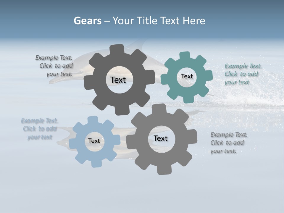 Bay Tourism Swimming PowerPoint Template