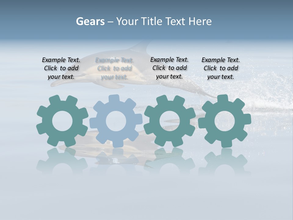 Bay Tourism Swimming PowerPoint Template